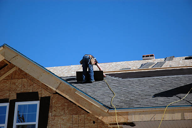 Best New Roof Installation  in Federal Y, WA