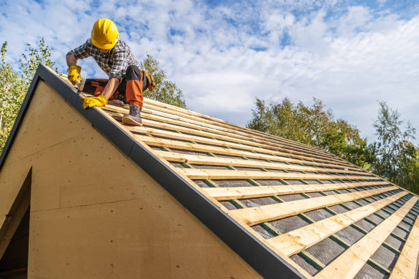 Best Roof Maintenance Services  in Federal Y, WA